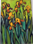 Gelbe Iris (verkauft)